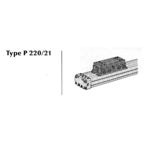 Cilindru pneumatic fara tija ORIGA, duplex, seria P220