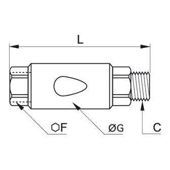 Supapa de sens inox, filet interior-exterior BSPP