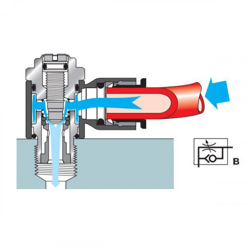 Regulator de debit la intrare, filet BSPP